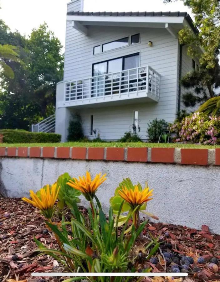 Large Luxury Studio With View In Santa Monica Extérieur photo